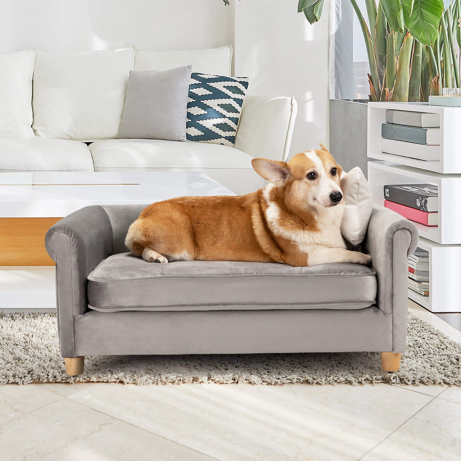 Fashion aldi pet sofa